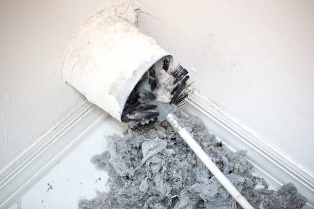 Best Air Duct Mold Removal  in Manchester, IA